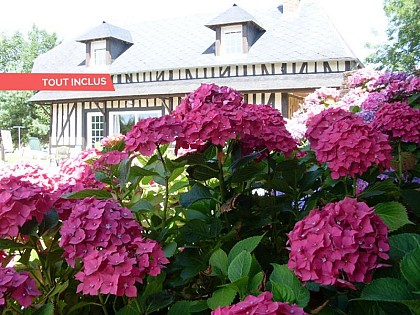 Gîte LA GRANGE AUX HORTENSIAS