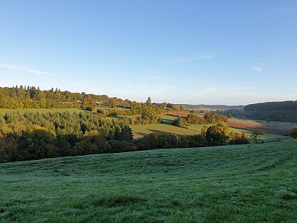 Panorama sur la forêt d'Haudricourt