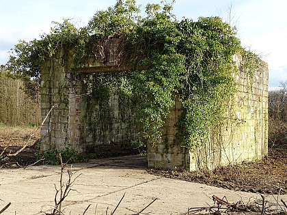 Site V1 Nr 179 - La Houssaye Campneuseville
