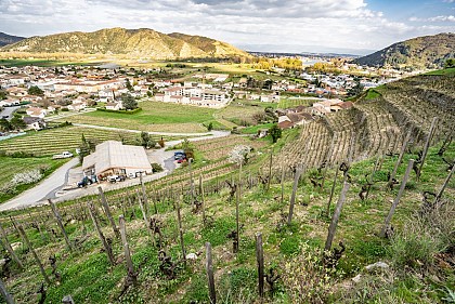 Domaine Farge