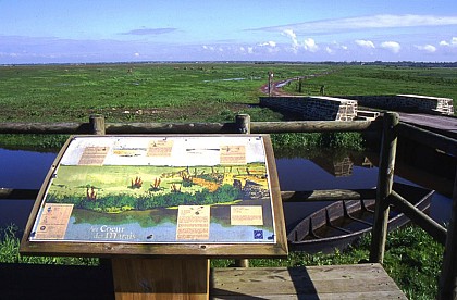 Le marais du Rivage