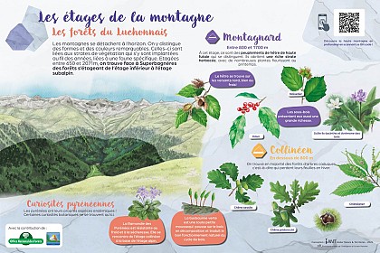 LES ÉTAGES DE LA MONTAGNE À SUPERBAGNÈRES