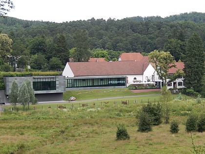 Lecture de paysage : le site du Hochberg