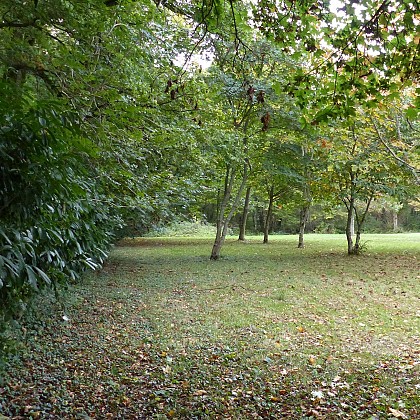 Trame verte et bleue, un maillage écologique reliant milieux naturels et corridors de biodiversité