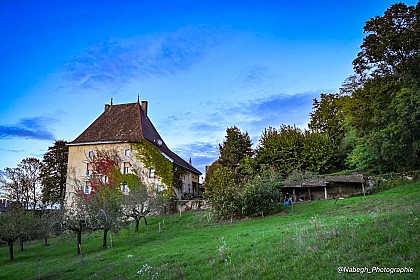 Le Clos Dauphin: the holiday cottage