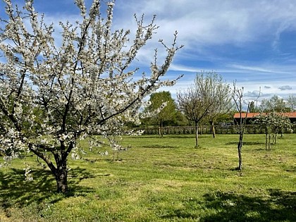 AIRE PRIVEE DU DOMAINE DU GRAND POIRIER