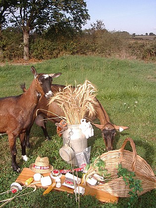 Aire d'accueil camping-car Ferme Cabri d'Anjou