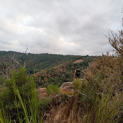Vue sur les gorges de l'Aveyron