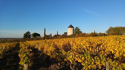 LES CHAMBRES D'HOTES DU MOULIN GÉANT
