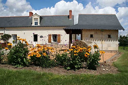 Gîte Le Mont Des Ceps