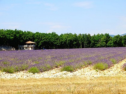 Hippodrome du Défends