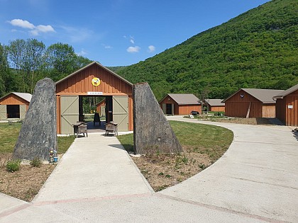 CITÉ DES ABEILLES - MIEL