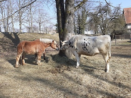 La ferme éducative  AGF