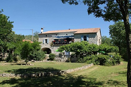 L'Olivier de Païolive