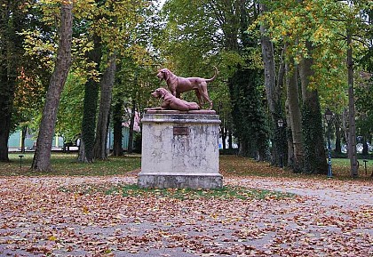 LE PARC DU PETIT BOIS