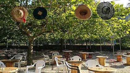 Café-concert le 4 vins