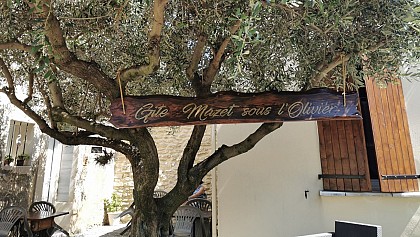 Gîte "Le Mazet" Les gîtes sous l'Olivier