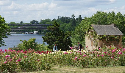 PARC FLORAL DE LA BEAUJOIRE
