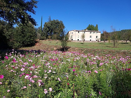 Les Chambres des Jardins de Falguière