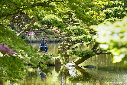 Parc Oriental de Maulévrier