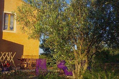 Domaine Oléicole Biologique de Pontet Fronzèle : La Maison d'hôtes
