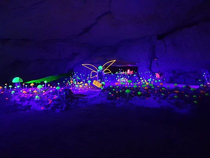 La Champignonnière du Saut aux Loups