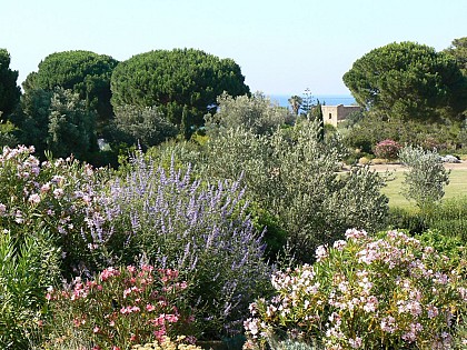 PARC DE SALECCIA