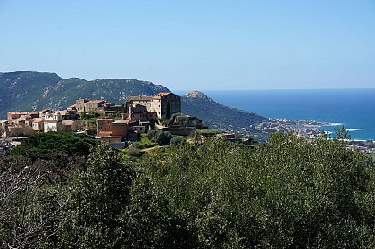 PIGNA
