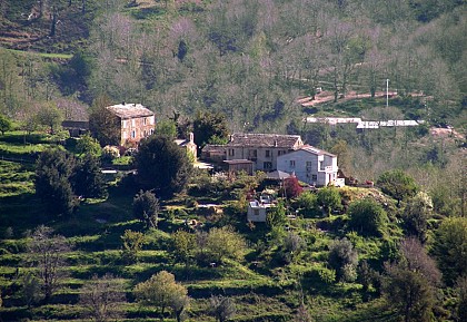 U POGHJU MARINACCIU - POGGIO MARINACCIO