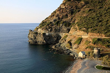 TOUR GENOISE DE NEGRO
