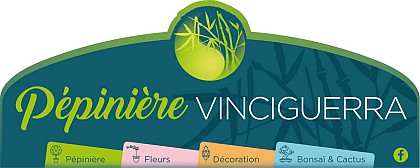 PEPINIERE VINCIGUERRA