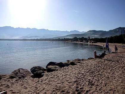PLAGE  DE CALVI ET SA PINEDE