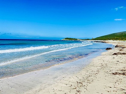 PLAGE DE BARCAGGIO - A CALA