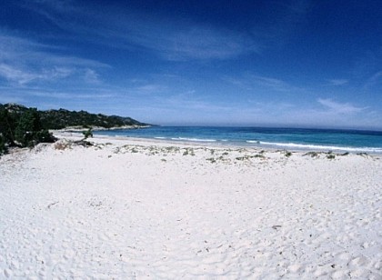 PLAGE DE L'OSTRICONI