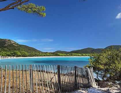 PLAGE DE PALOMBAGGIA - I PINI