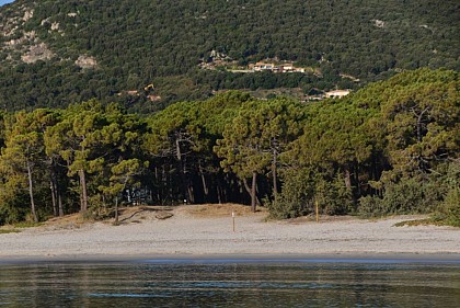 PLAGE DE PINARELLO