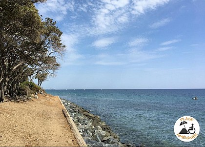 PLAGE DE VANGA DI L'ORU