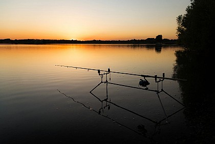 PÊCHE À LA CARPE DE NUIT SUR LA RIVIÈRE LA MAYENNE