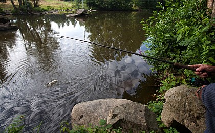 PÊCHE AU LAC DE HAUTE MAYENNE