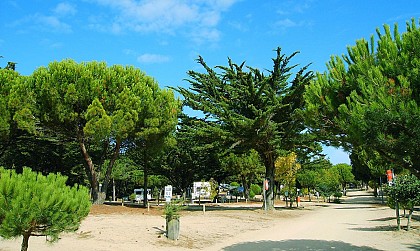 CAMPING MUNICIPAL L'ORGATTE