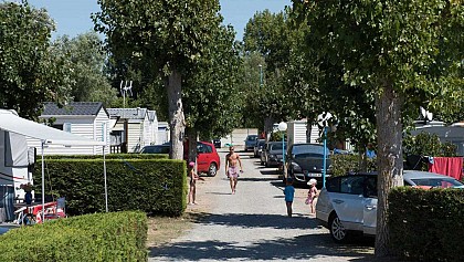 Camping Le Petit Bois