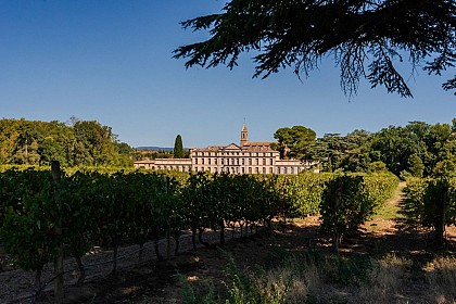 CHATEAU DE PENNAUTIER
