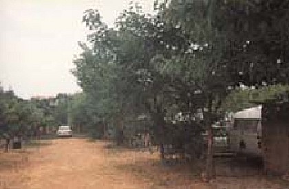 Les Amandiers Farm Campsite