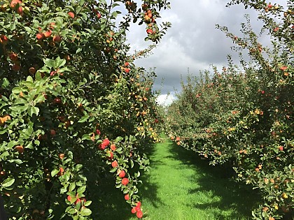 Ferme de La Bouillette