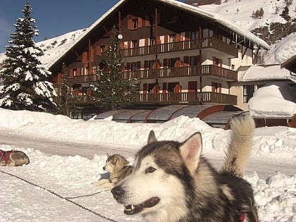 Le Fontenil - séjour scolaire