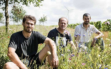 Domaine Saint Nicolas