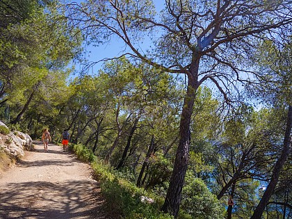 Trail Saint Cyr
