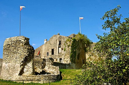 Château de Moyen Qui Qu'en Grogne