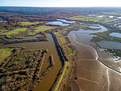 Domaine de Certes et Graveyron entre Audenge et Lanton