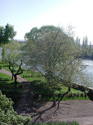 Camping municipal du Parc Napoléon